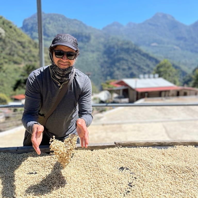 Finca La Maravilla  Guatemala 2023